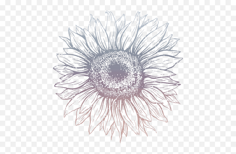 About - Sunflower Hand Drawn Emoji,Sunflowers Emotion