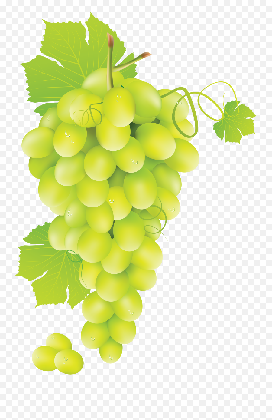Grape Png Hd 10 - Png 7812 Free Png Images Starpng Green Grape Png Emoji,Facebook Emoticons Grapes