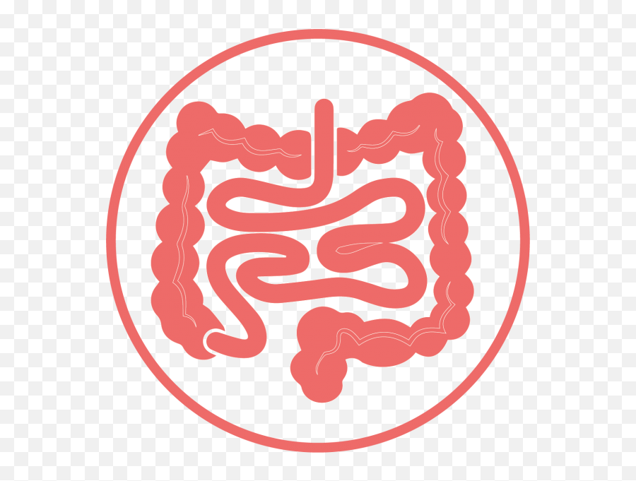Happiness Osmosis U2013 My Intestines And Me Emoji,Rollercoaster Of Emotions Phank