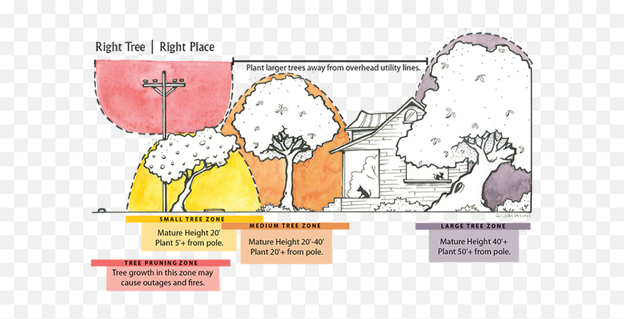 11 Steps To Plant A Tree Austintexasgov Emoji,Emoticons About Tree Trimming