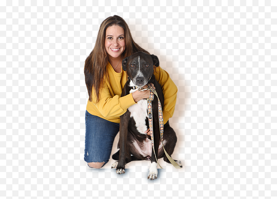 Dog Collar Dog Leashes Dog Harness By Paw Paws Usa - Martingale Emoji,Sweet Emotions Doggie Paw Balm