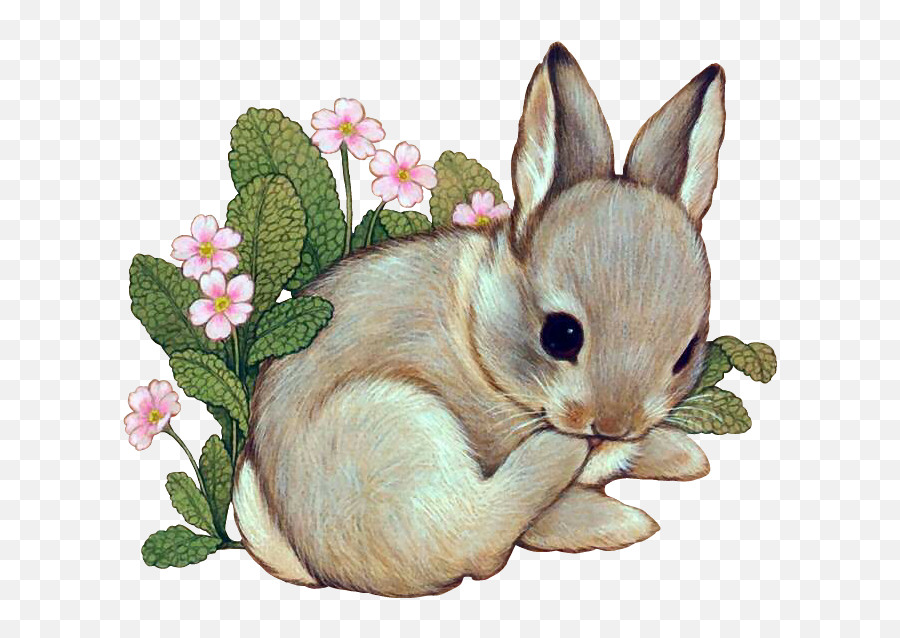 Rabbit Sticker Challenge On Picsart - Bunny In A Forest Drawing Emoji,Rabbit Website Emojis