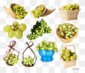 17 Best Green Grapes Ideas Green Grapes Grapes Green - Grape Emoji,Facebook Emoticons Grapes