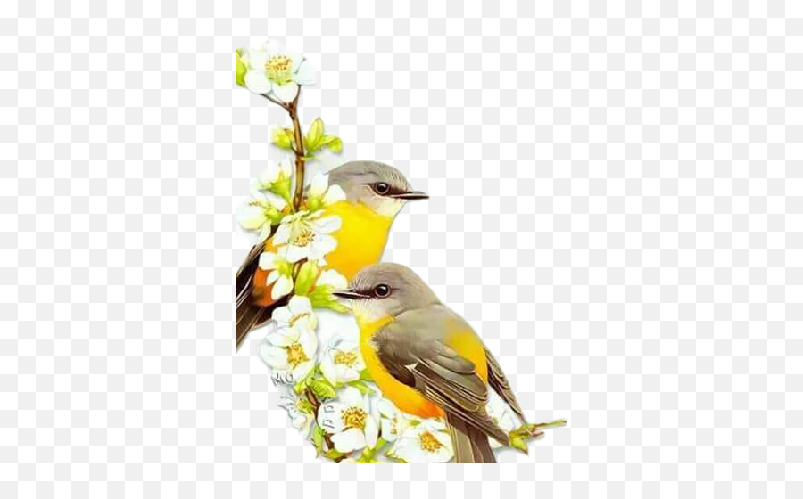 Bird Passaros Animal Aves Sticker - Old World Flycatchers Emoji,Oriole Emoji