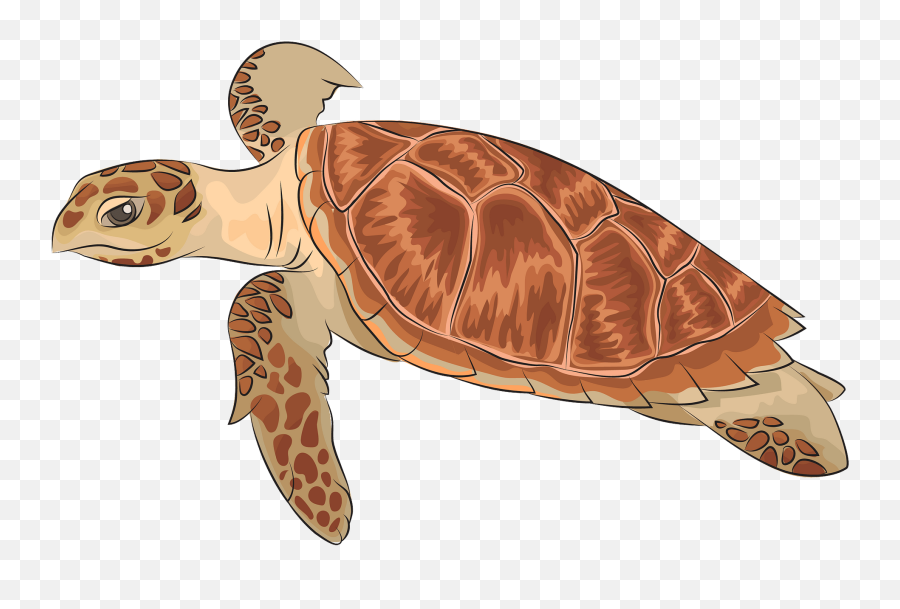 Hawksbill Sea Turtle Clipart - Hawksbill Sea Turtle Clipart Emoji,Sea Turtle Emoji