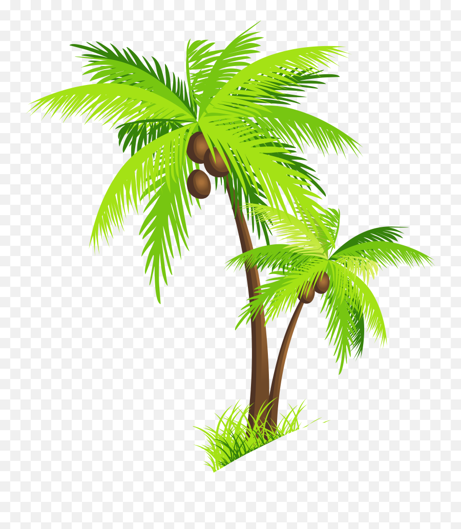 Mq Palm Tree Coconut Green Sticker - Clip Art Coconut Tree Png Emoji,Palm Tree Drink Emoji