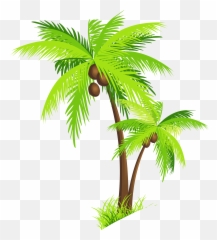 Mq Palm Tree Coconut Green Sticker - Clip Art Coconut Tree Png Emoji,Palm Tree Drink Emoji