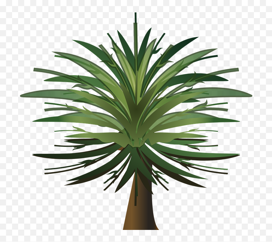 Free Image - Fresh Emoji,Palm Tree Emoticon