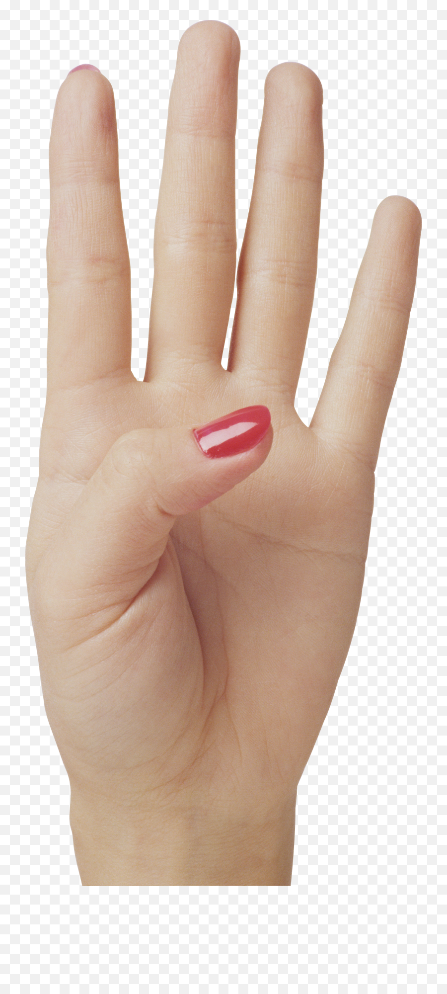 Hands Png And Vectors For Free Download - Dlpngcom Showing 4 On Fingers Emoji,Folding Hands Emoji