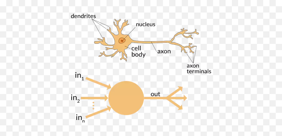 What Do You Mean By A Neural Network - Quora Neural Network Perceptron Emoji,Guess The Emoji Level 34answers