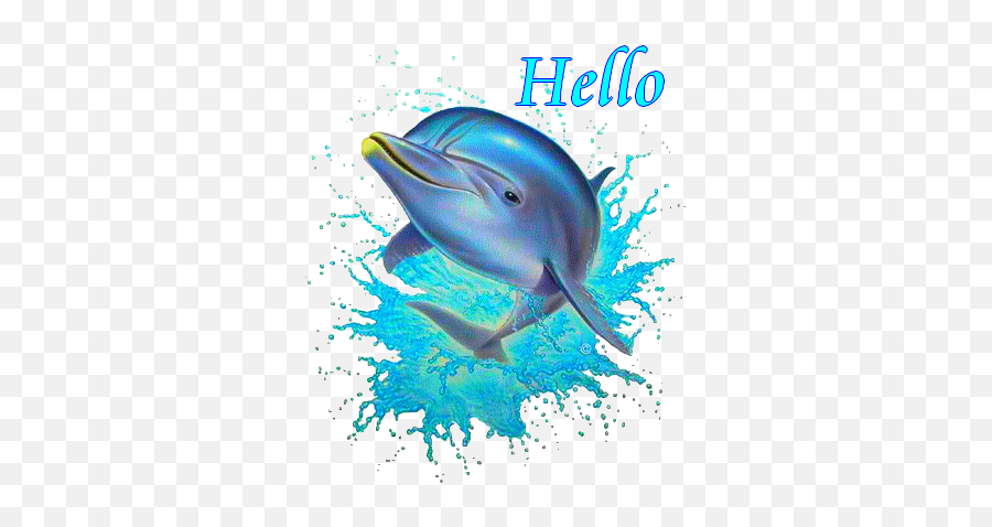 Scritte Espressioni Saluti Varihellociao Graziebaci - Dauphin Qui Dit Bonjour Emoji,Emoticon Pernacchia