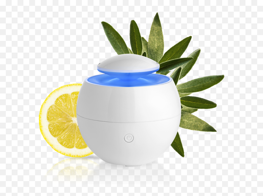 Holiday Gift Guide 2019 The Best Diffusers For Plant - Based Diffuseur Puressentiel Oxygen Emoji,Doterra Emotion Wheel