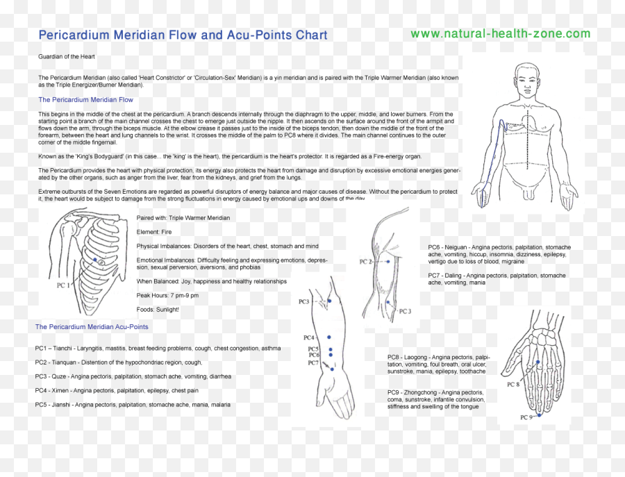 The Body Meridians Part Emoji,Meridian Emotions Chart