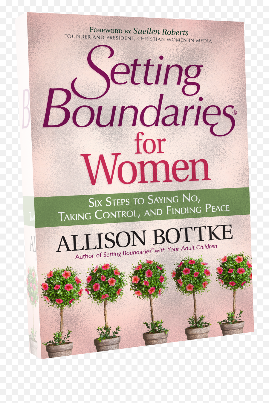 Sanity Support - Allison Bottke Emoji,Boundaries Emotions Book