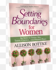 Sanity Support - Allison Bottke Emoji,Boundaries Emotions Book