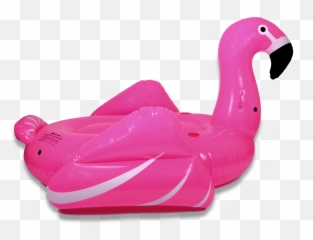 Flamingos Png - Pink Flamingo Pool Float Transparent Transparent Flamingo Float Png Emoji,Flamingo Emoji