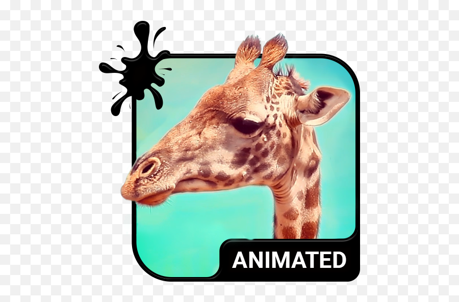 Giraffe Animated Keyboard Live Wallpaper - Apps Op Google Play Android Emoji,Giraffe Emoji