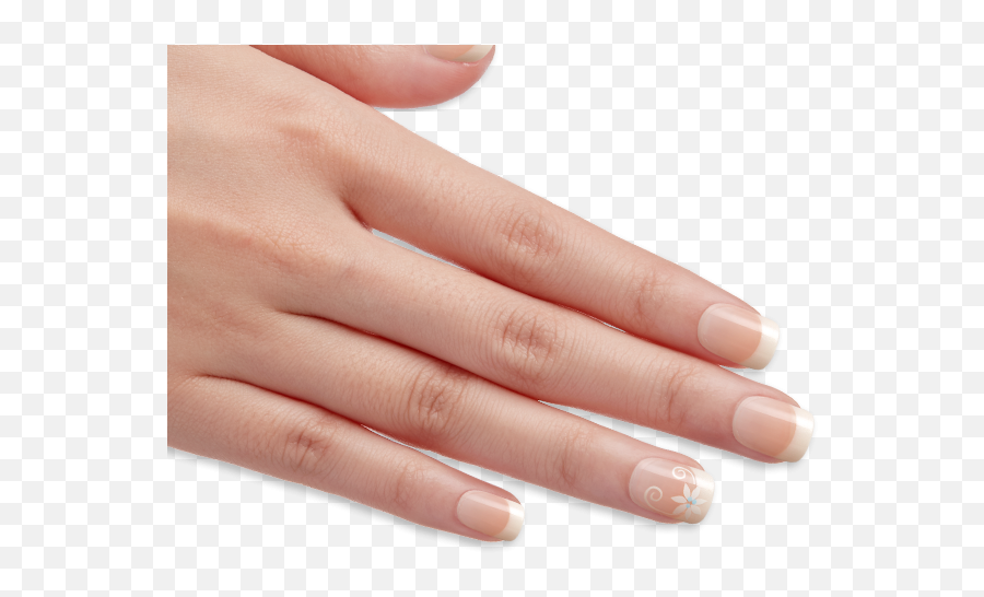 Nails Png High Quality - Finger Nails Png Emoji,Finger Nail Painting Emoji