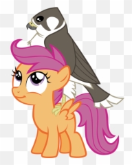 Astringe Bird - Deviantart Mlp Bases Filly Emoji,Emotions Falcon