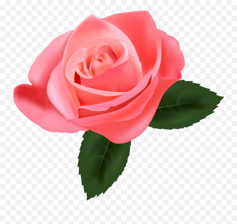 Clipart Roses Emoji Clipart Roses Emoji Transparent Free - Pink Rose Png Hd,Pink Flower Emoji