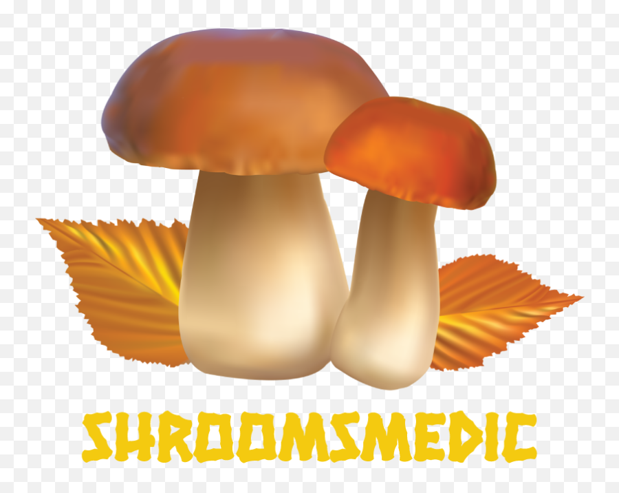 Dried Magic Mushrooms In Australia - Mushroom Medication Penny Bun Emoji,Shroom Emoticon