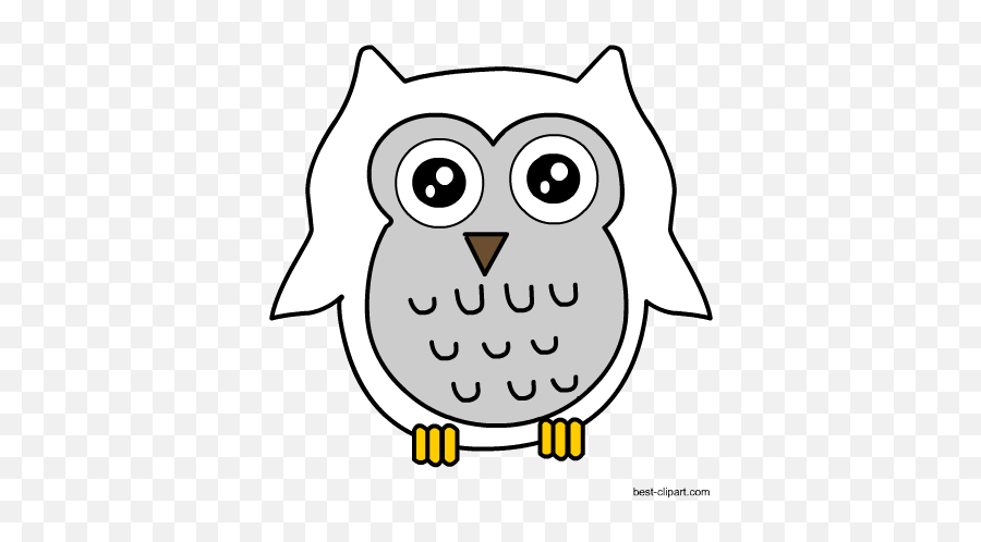 Teens Lonsdale Public Library Page 2 Emoji,Pictures Of Cute Emojis Of A Owl