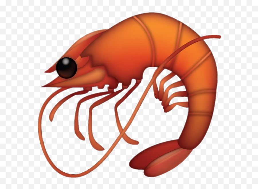 Discover Trending - Shrimp Emoji Png,Tiger Shrimp Emoji