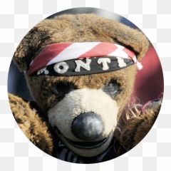 Game Match The Oldest College Football Rivals College Emoji,Twitter Big Bear Small Bear Emoticon Memes