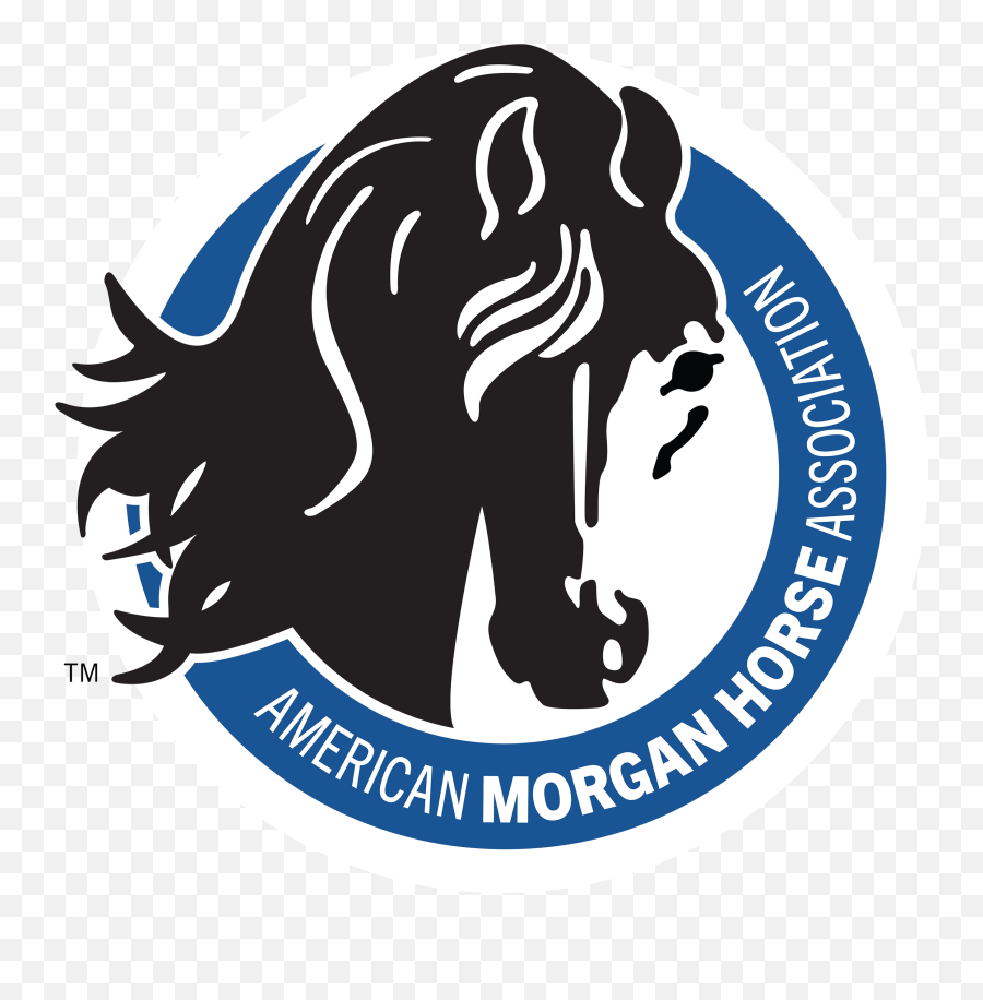Amha U003e Registry U003e Morgan Horse Name Changes Emoji,Dancing Diamonds Emotion Goldstar