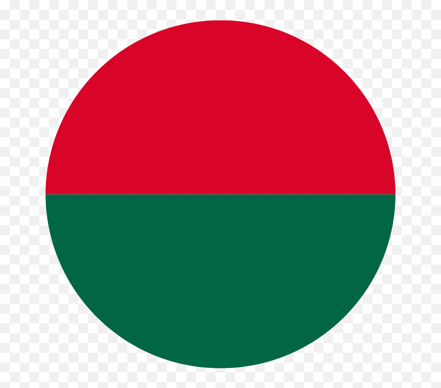 Download The Flag Of Bangladesh 40 Shapes Seek Flag Emoji,Flag Of Bangladesh Emoji