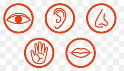 Research U0026 Reports Moodfrance - Sensorik Symbol Emoji,Colours And Emotions And Moods
