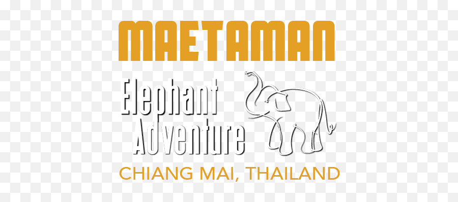 Ethical Elephant Riding Facts - Language Emoji,Elepahnt Model Emotion