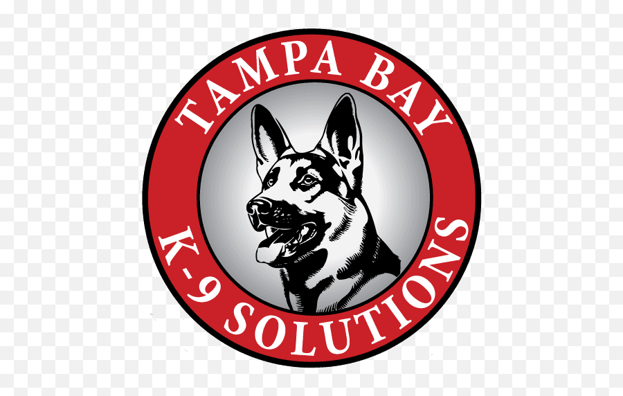 Solutions Testimonials Tampa Dog Training - Vulnerable Native Breeds Emoji,Gary Larson Dog Emotion