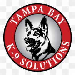 Solutions Testimonials Tampa Dog Training - Vulnerable Native Breeds Emoji,Gary Larson Dog Emotion