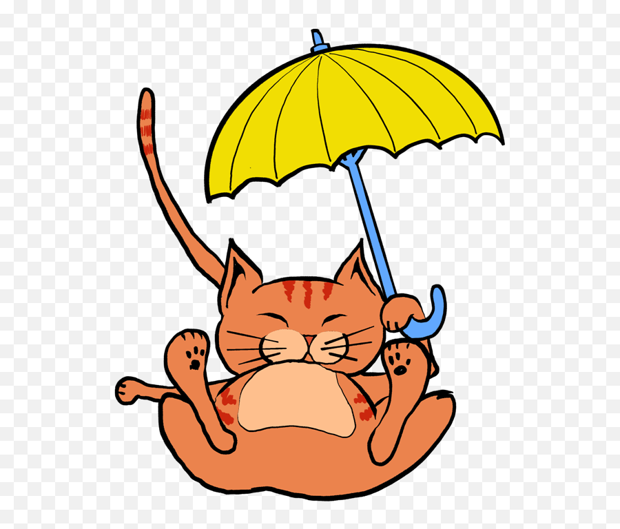 Its Raining Cats And Dogs - Happy Emoji,Photos Cat Faces Emotion
