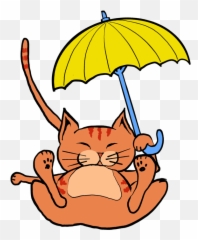 Its Raining Cats And Dogs - Happy Emoji,Photos Cat Faces Emotion