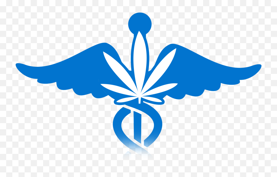 Medicinal Clipart Nursing Symbol - Physician Png Download Language Emoji,Symbols Of Human Emotion