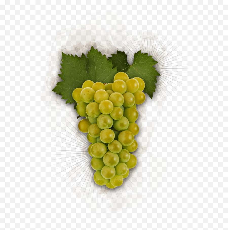 Artisan Winemaking - La Crema Chardonnay Grape Png Emoji,Facebook Emoticons Grapes