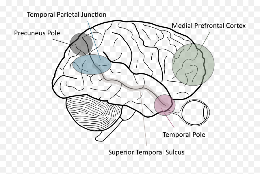 Evidence For Implicit Theory Of Mind - Implicit Theory Emoji,Temporal Influence Model Of Emotion
