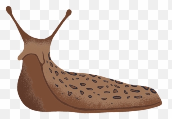 Sliding Png U0026 Svg Transparent Background To Download Emoji,Slug Emoji Png