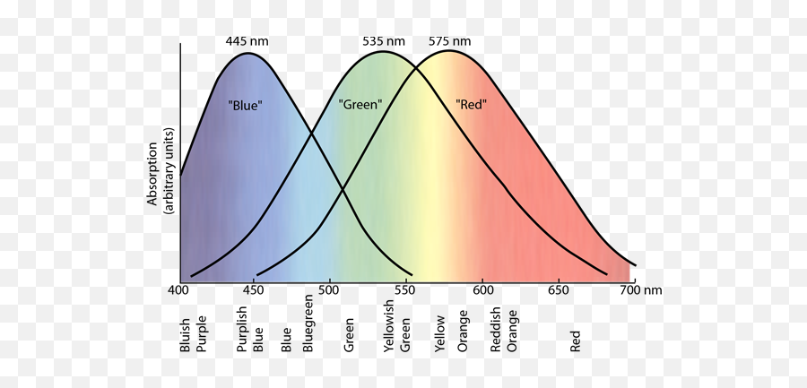 Eli5 Why Canu0027t Displaysmonitors Show The Color True Cyan - Color Cones Emoji,Color Theory Color Emotions Cyan