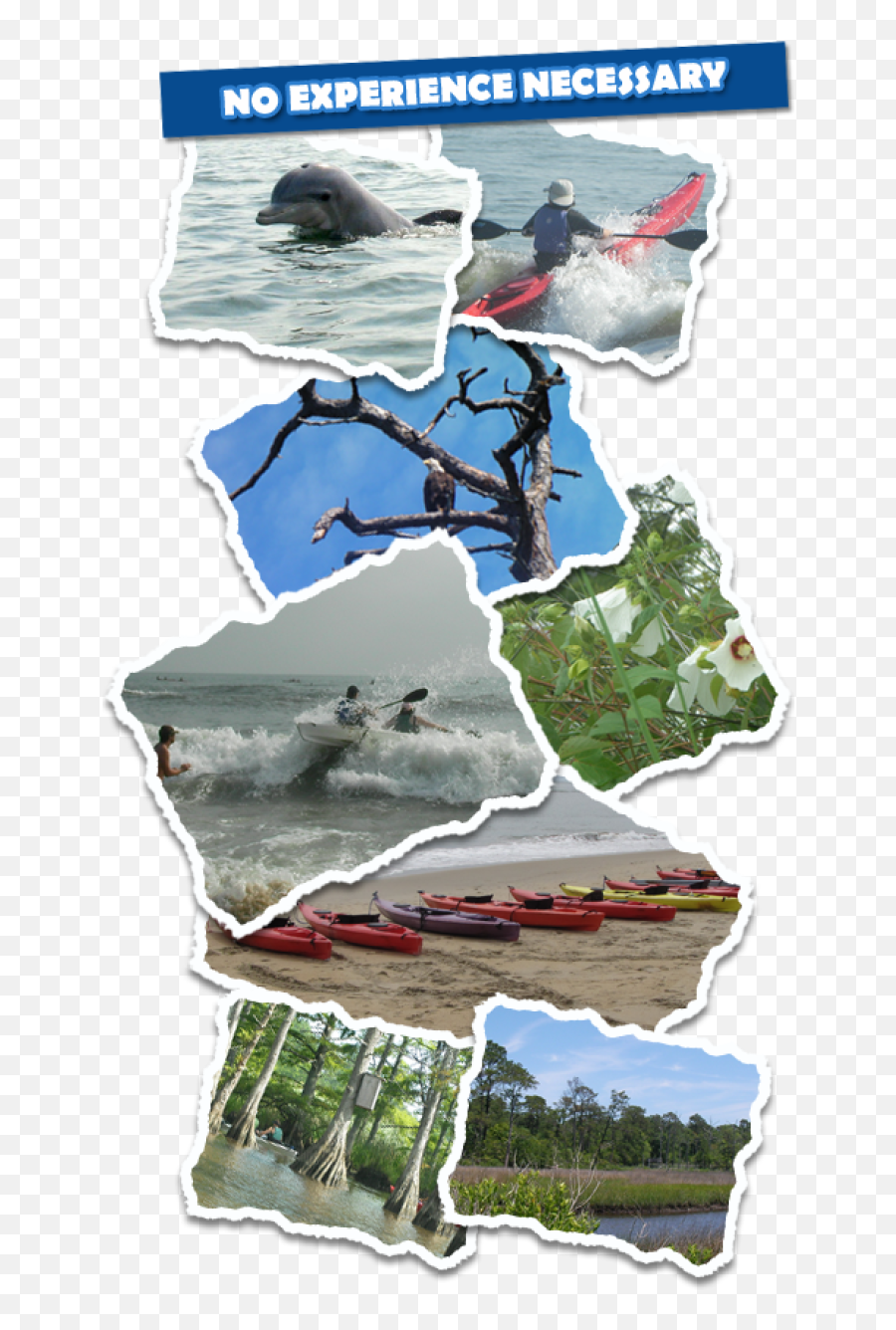 Kayak Nature Tours - Virginia Beach Sea Kayaking Va Map Emoji,Emotion Kayak 2004