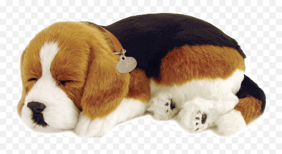 Top 30 Husky Puppy Gif Gifs Find The - Perfect Petzzz Beagle Emoji,Husky/border Collie Emoji