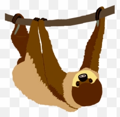 Two - Grand Bur Dubai Masjid Emoji,New Sloth Emojis