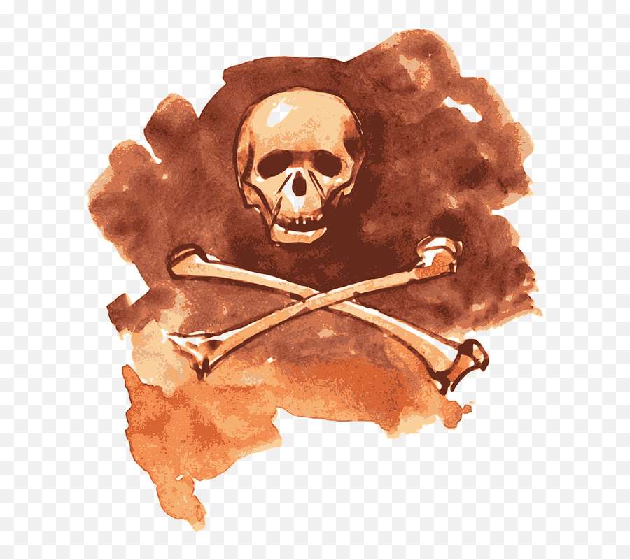 Free Photo Human Vintage Macabre Death - Bone Vintage Png Emoji,Emotions Of A Skull