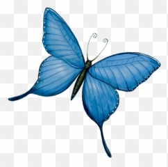 Into The Feywild - The Wild Beyond The Witchlight 5etools Emoji,Work Emotion Cr Kai Real Or Fake