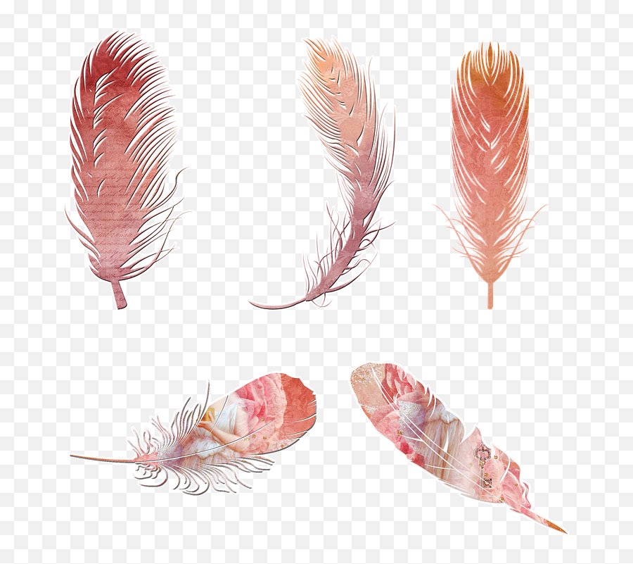 Pink Feather Transparent Images Png Png Mart Emoji,Feather Emojis