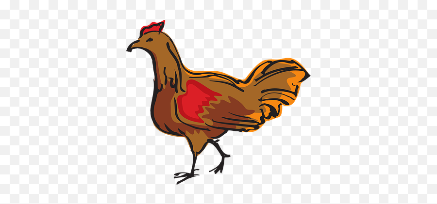 30 Free Chicken Wings U0026 Chicken Vectors - Pixabay Walking Chicken Clip Art Emoji,Chicken Emotions