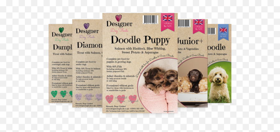 About Us - Doodledogs Australian Cobberdog Labradoodle Dog Supply Emoji,Dog Food Emoji