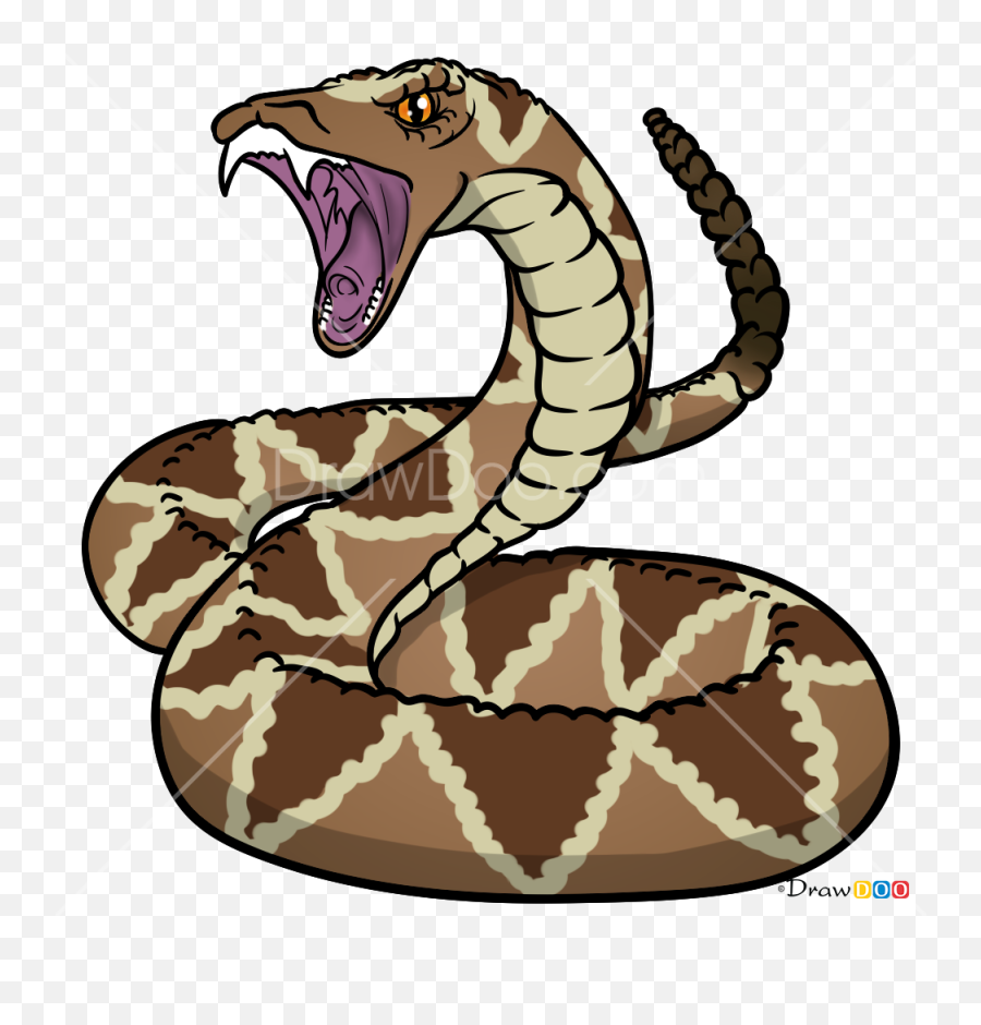 How To Draw Rattlesnake Snakes - Rattlesnake How To Draw Snake Emoji,Rattlesnake Emoji